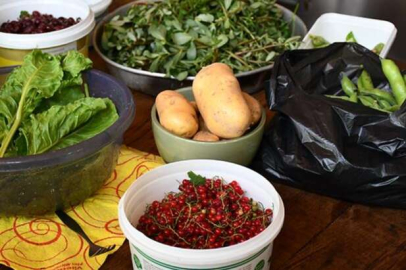 Bursa'da sürdürülebilir tarım için "Permakültür Çiftliği"