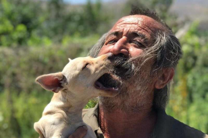 Köpeğinin yerini söyleyene 100 bin TL ödül verecek