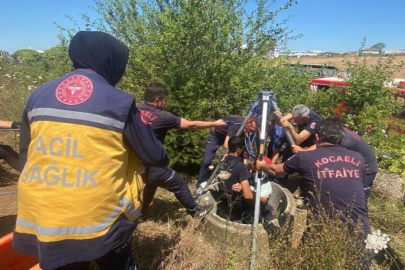 Kuyuda can pazarı