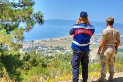 Uludağ’da jandarmadan orman yangınlarına karşı seferberlik