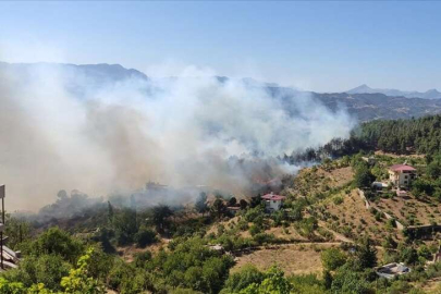 Kahramanmaraş'ta orman yangını