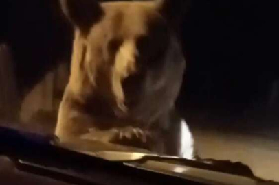 Bursa'da korku dolu anlar: Otomobilin önünü kesti