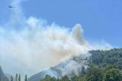 Balıkesir'deki orman yangını kontrol altına alındı