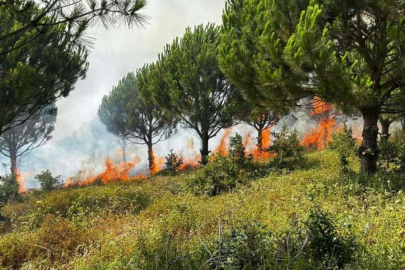 Karacabey’de ekipler yangın riskine karşı teyakkuzda