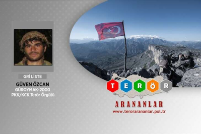 Gri kategorideki terörist Bitlis'te etkisiz hale getirildi