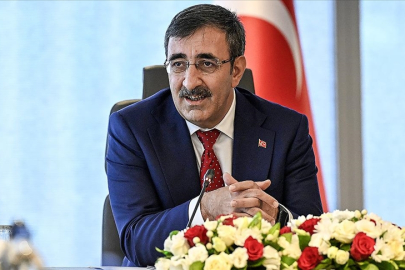Cevdet Yılmaz: Fonlara yatırım yapmak suç değil