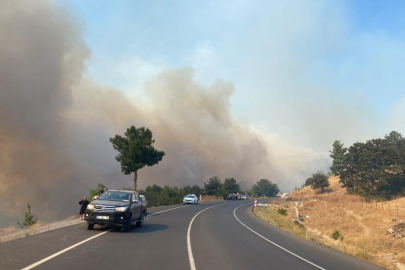Çanakkale'de büyük orman yangını...2 köy boşaltıldı