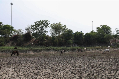 Hindistan, son 122 yılın en kurak ağustosunu geçirdi