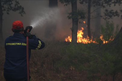 İsviçre, Yunanistan'a destek verecek