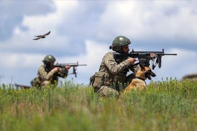 Türkiye'ye geçmeye çalışan 2 terörist yakalandı
