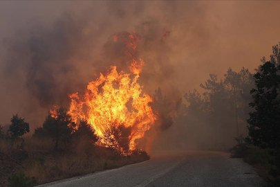Yunanistan'daki yangınlar düzensiz göçmenleri de etkiledi