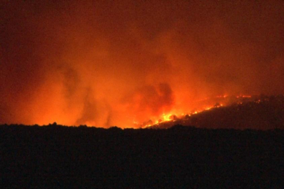 Bulgaristan-Türkiye sınırında orman yangını: Alevler Türkiye sınırına ilerliyor