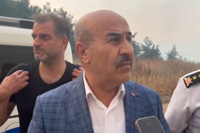 Bursa Valisi Demirtaş'tan yangın açıklaması