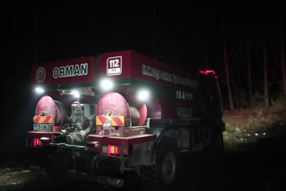 Bursa’daki orman yangınına müdahale sürüyor