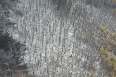 Bursa yangınının bilançosu günün ilk ışıklarıyla belli oldu