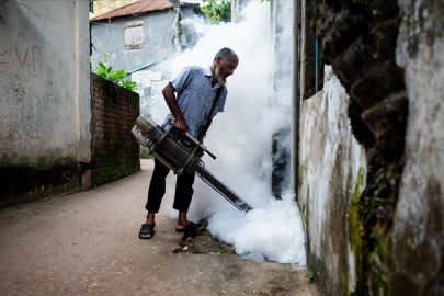 Dang hummasından hayatını kaybedenlerin sayısı 618'e çıktı