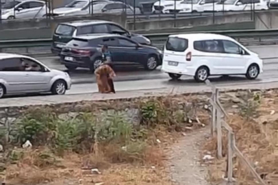 Bursa'da yol kenarında kadına şiddet!
