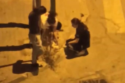 Otomobil çarpan kediye hemşireler dakikalarca kalp masajı yaptı