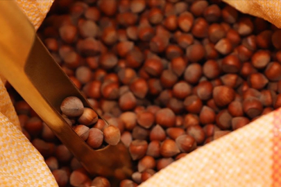 Fındık ihracatı verileri açıklandı