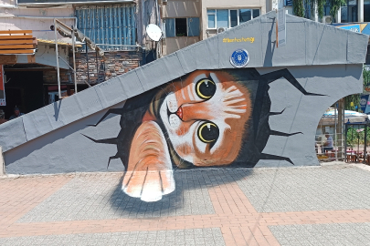 Bursa'da sokak sanatı boyut değiştirdi