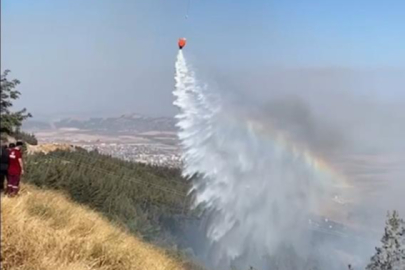 Gaziantep'te orman yangını
