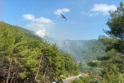 Kazdağları'nda orman yangını