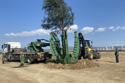 Bursa’da yeşil transferi sürüyor