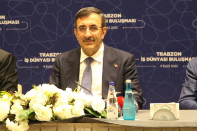 Cumhurbaşkanı Yardımcısı Yılmaz: “Aile ve Gençlik Bankası kanun teklifimizi meclise sunacağız”