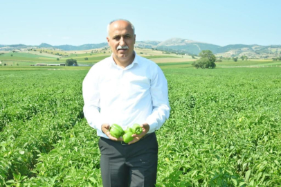 İyi tarımın adresi Yenişehir