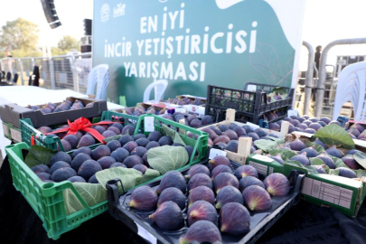 Nilüfer'de üretici ile tüketiciyi buluşturan festival