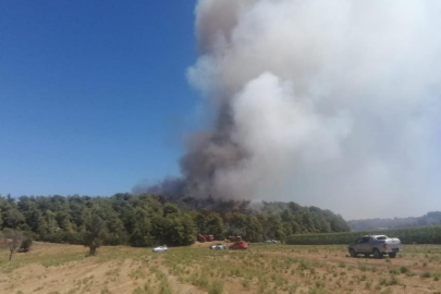 Manavgat’taki orman yangını kontrol altına alındı