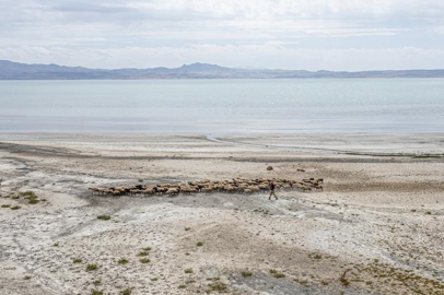 Van Gölü küçülmeye devam ediyor
