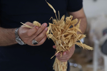 "Çetiner" ve "Ruha 63" ile verim katlanacak