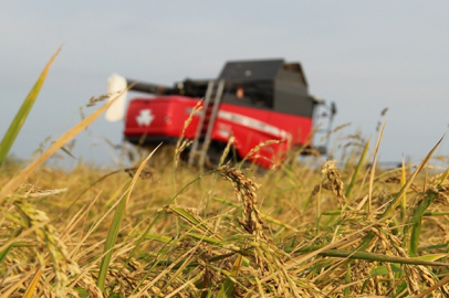 Tarımsal üretimde "sözleşmeli üretim yönetim sistemi" dönemi