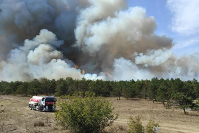 Tekirdağ'da orman yangını