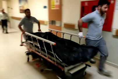 Bursa'da tarlada çalışırken arı soktu, hayatını kaybetti