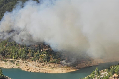 Alanya'da orman yangını çıktı