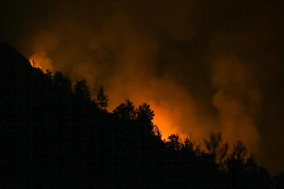 Alanya'daki orman yangınına karadan müdahale sürüyor