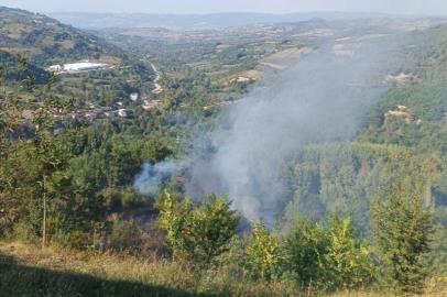 Bursa'da, yaktığı çalılar sonu oldu