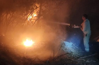 İzmir'de ormanlık alanda yangın