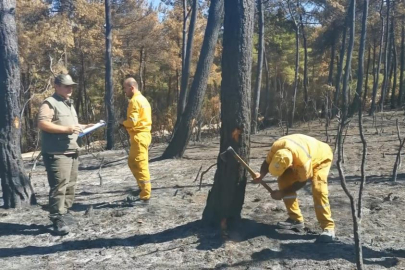 Bursa'da küle dönen bölge yeniden yeşerecek