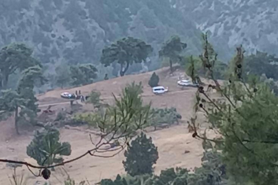 Üzerine düşen tomruk sonu oldu