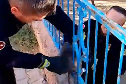 İtfaiyeden kedi kurtarma operasyonu