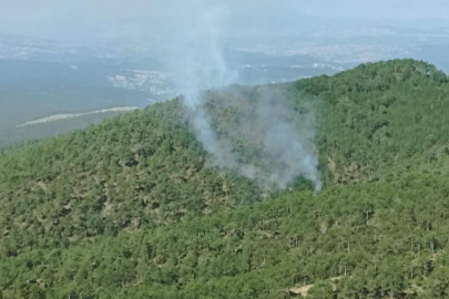 Kütahya'daki orman yangını için Bursa'da da seferberlik