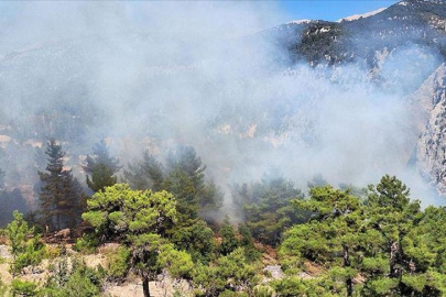 Antalya'da orman yangını