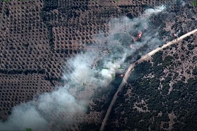 Muğla'da çıkan orman yangını söndürüldü