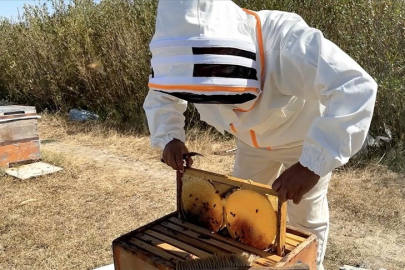 Türkiye Arıcılık Haritası güncellendi