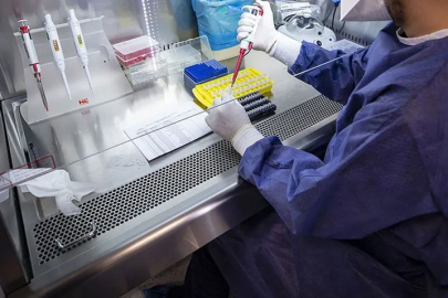 Komşuda salgın alarmı verildi