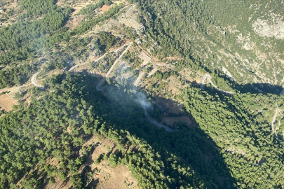 Muğla'da çıkan orman yangınına müdahale ediliyor