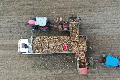 Pancar üreticilerine avans ödemeleri bugün yapılacak